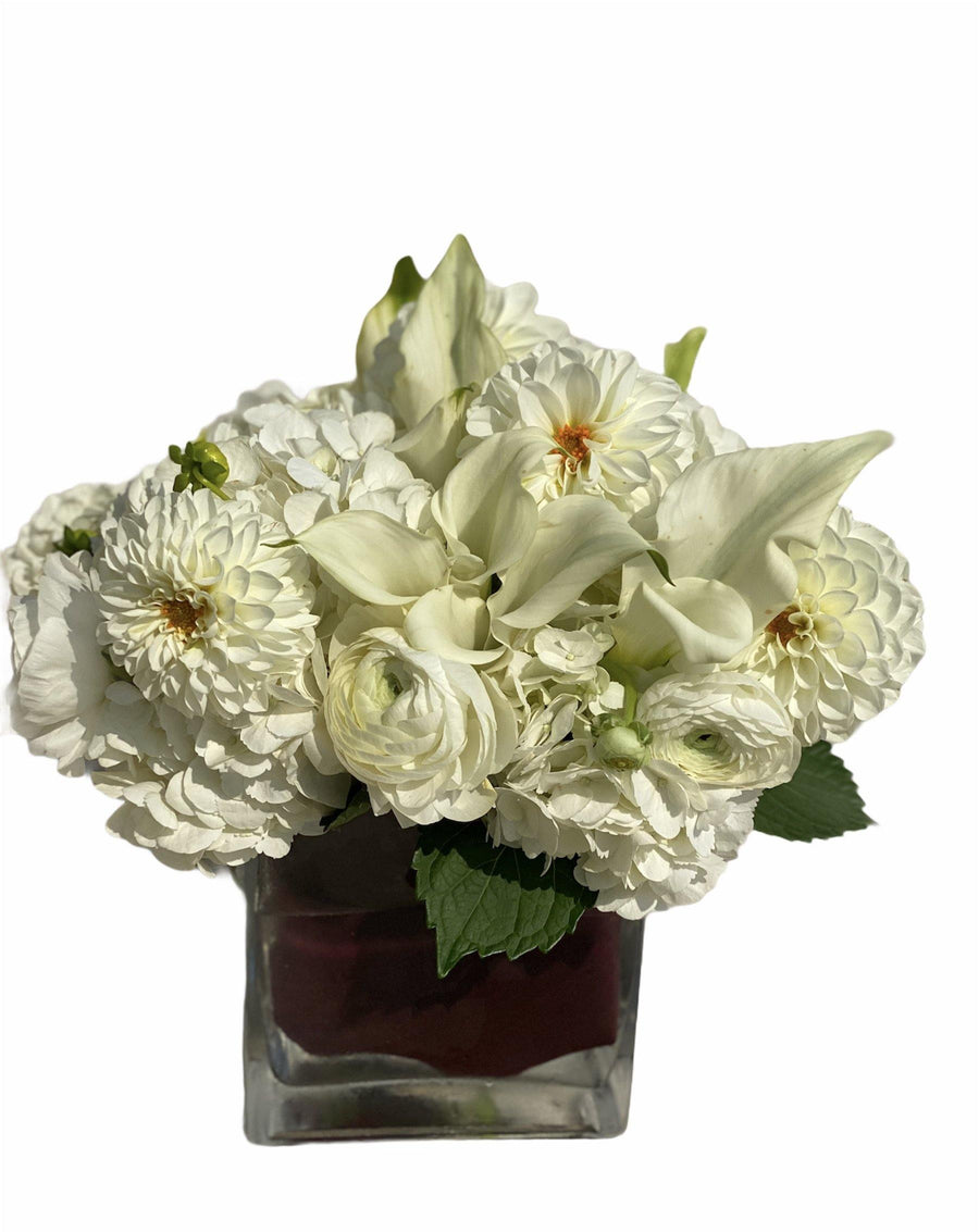 Pure Whites - Mikells Florist