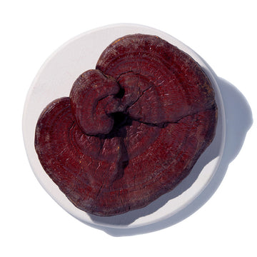 Red Reishi Mushrooms Whole (China)