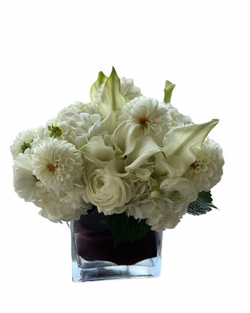 Pure Whites - Mikells Florist