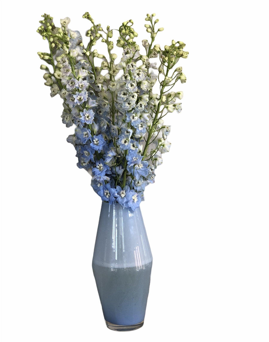 Simply Delphiniums (Vase not included) - Mikells Florist